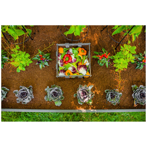 Image of Vita Urbana Keyhole Composting Garden Bed 122 x 122 cm