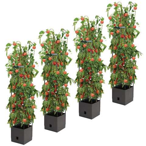 Image of Greenlife Tomato Tower with 3 Tier Frame 4 x Pack