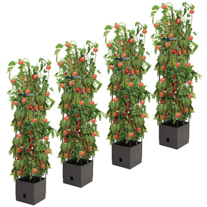 Greenlife Tomato Tower with 3 Tier Frame 4 x Pack