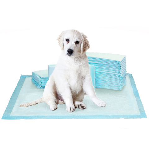 Image of Kirkland Signature Extra-Large Absorbent Puppy Pads 100pk