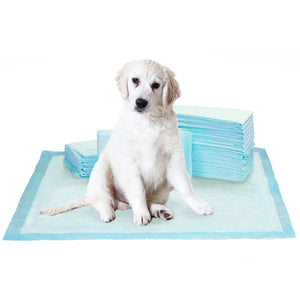Kirkland Signature Extra-Large Absorbent Puppy Pads 100pk