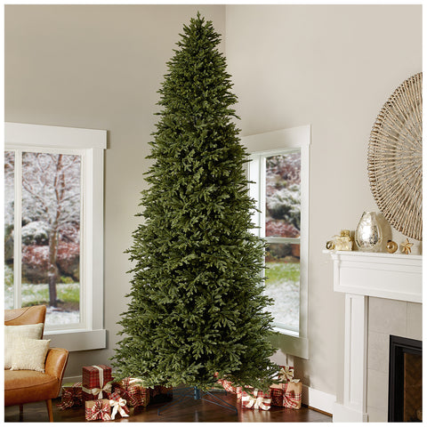 Image of Pre-Lit 3.66m (12ft) Aspen Micro Dot LED Christmas Tree