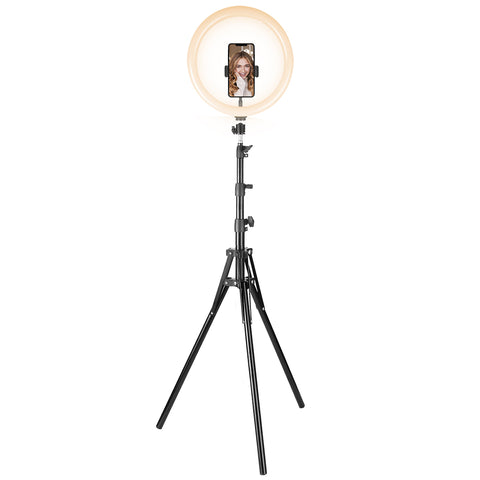 Image of Cygnett 12” Ring Light with Charge Up Boost 5k Powerbank CY3544VCSLR