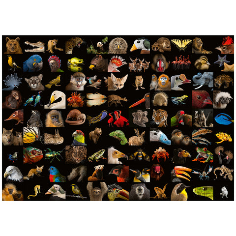 Image of Ravensburger Stunning Animals 1000 Piece Jigsaw Puzzle