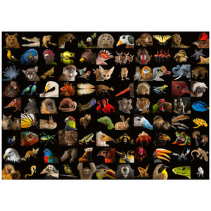 Ravensburger Stunning Animals 1000 Piece Jigsaw Puzzle