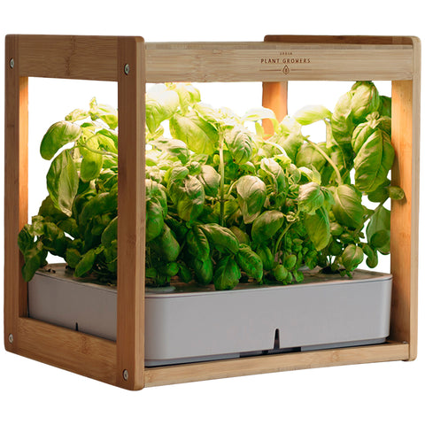Image of Urban Plant Growers EcoKitchen Smart Garden, Bamboo, W 34.5 x D 40 x H 21 cm