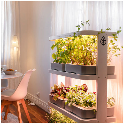 Image of Urban Plant Growers The Family Farm Indoor Hydroponic Garden